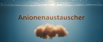 Anionenaustauscher