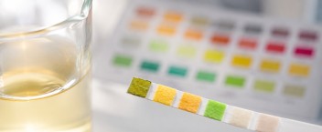 pH Wert Anhebung zur Entsäuerung